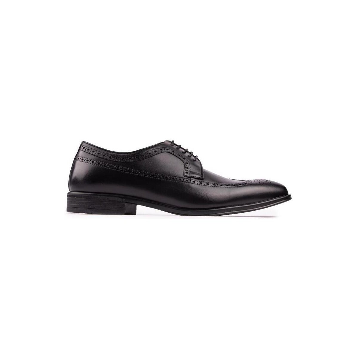 Chaussures Homme Richelieu Steptronic Francis Chaussures Brogue Noir