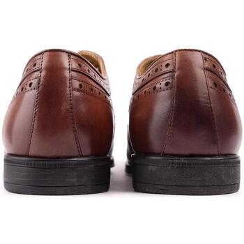 Steptronic Francis Chaussures Brogue Marron