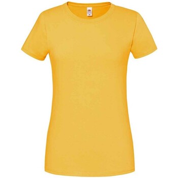 Vêtements Femme T-shirts manches longues The Divine Factom SS720 Multicolore