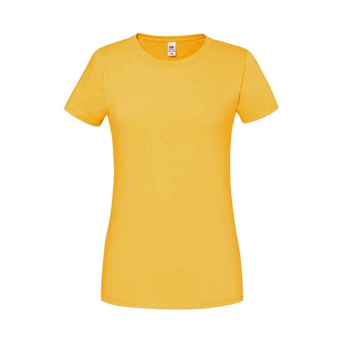 Vêtements Femme T-shirts manches longues Fruit Of The Loom Iconic Multicolore