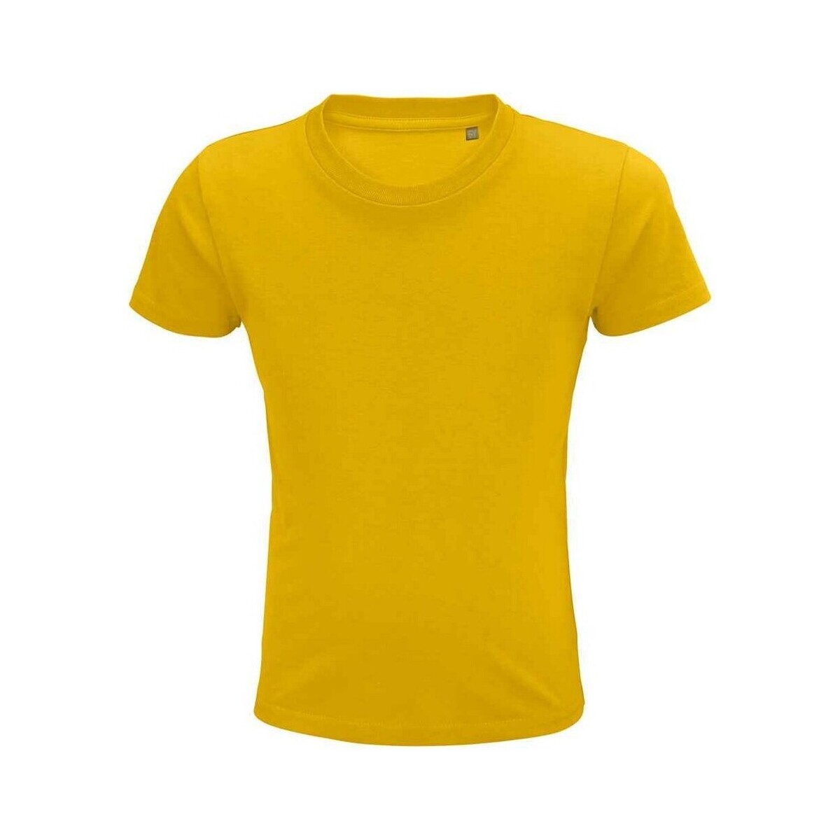 Vêtements Enfant T-shirts manches courtes Sols 3578 Multicolore