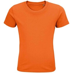 Vêtements Enfant T-shirts manches courtes Sols 3578 Orange