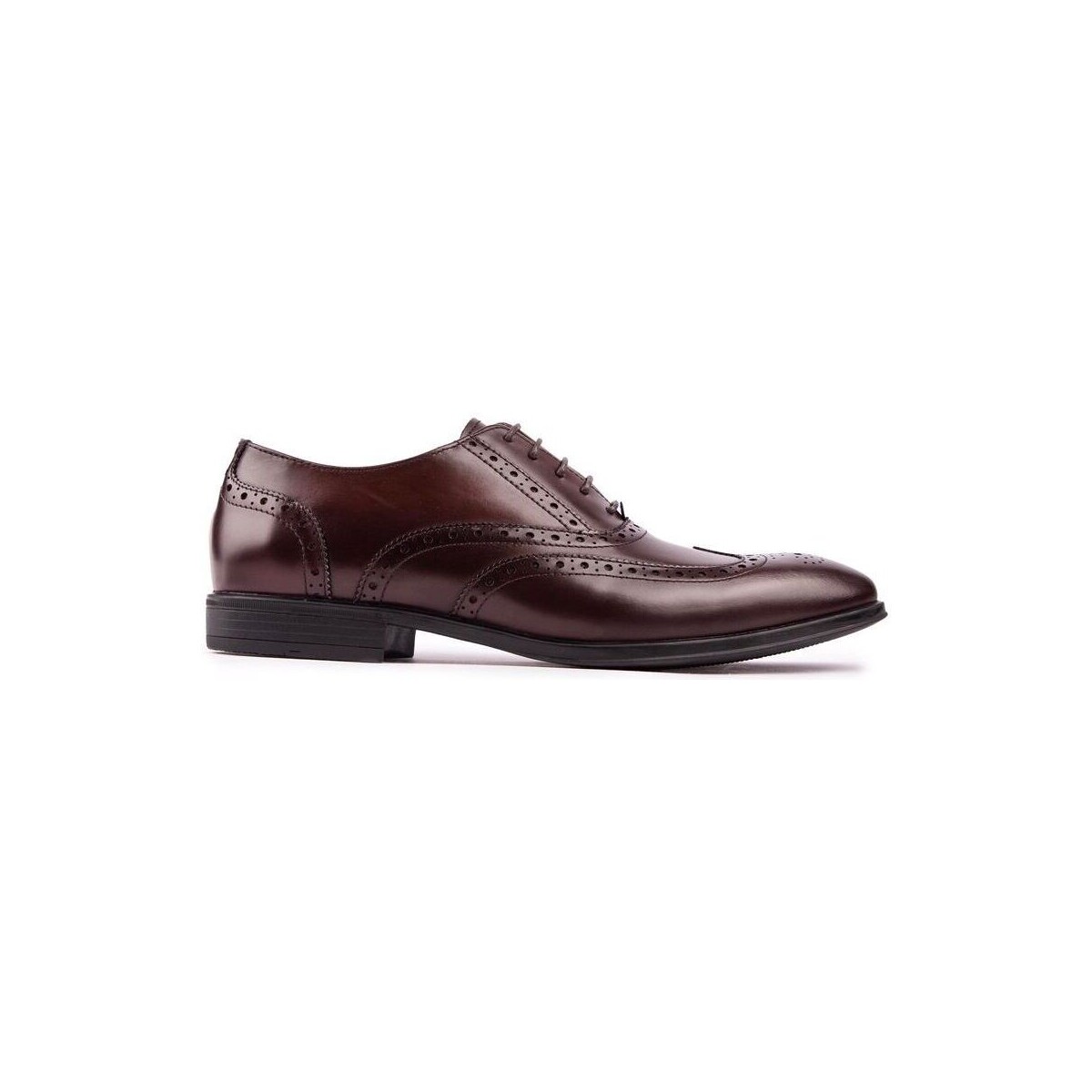 Chaussures Homme Richelieu Steptronic Finchley Chaussures Brogue Marron