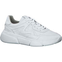 Chaussures Femme Baskets basses Tamaris white leather casual closed sport shoe Blanc