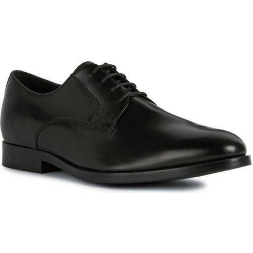 Chaussures Homme Baskets basses Geox hampstead formal Noir