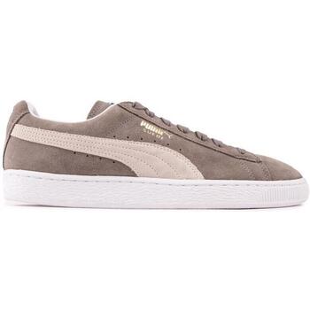 Chaussures Homme Baskets basses Puma Puma have tapped up some hot brands for colabs recently Skate Gris