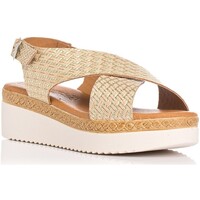 Chaussures Femme The Indian Face Zapp 3314 Beige