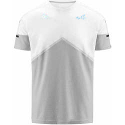 Vêtements Homme T-shirts manches courtes Kappa T-Shirt Aybi BWT Alpine F1 Team 2023  Gris Gris