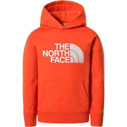 Vêtements Enfant Chemises manches courtes The North Face Y DREW PEAK P/O HOODIE Orange