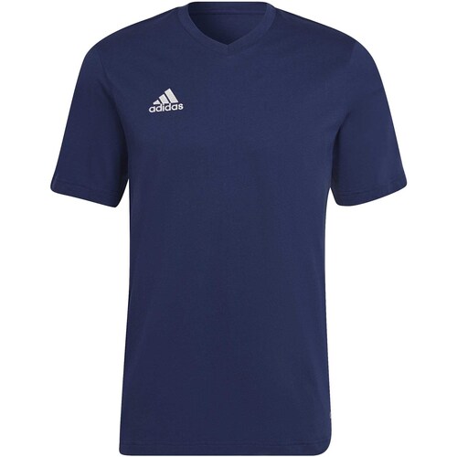 Vêtements Homme T-shirts & Polos adidas Originals Ent22 Tee Bleu