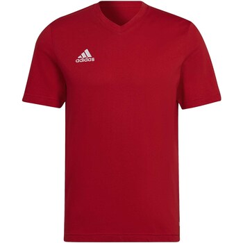 Vêtements Homme T-shirts & Polos adidas Originals Ent22 Tee Rouge