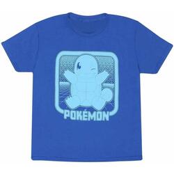 Vêtements Enfant T-shirts manches courtes Pokemon HE1509 Bleu