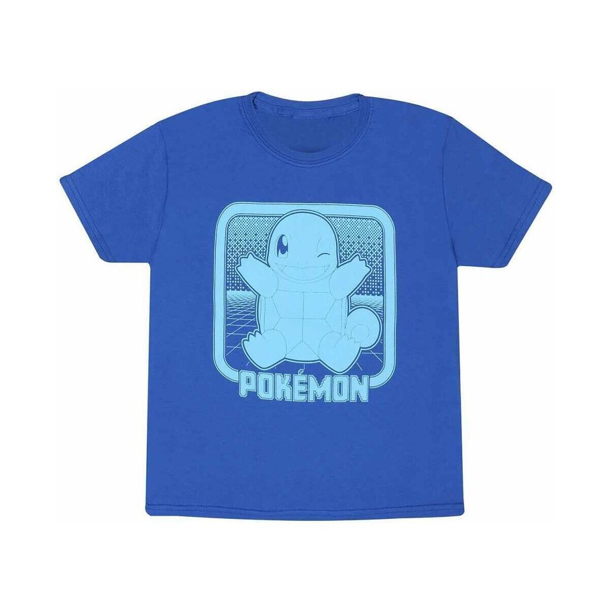 Vêtements Enfant T-shirts manches courtes Pokemon HE1509 Bleu