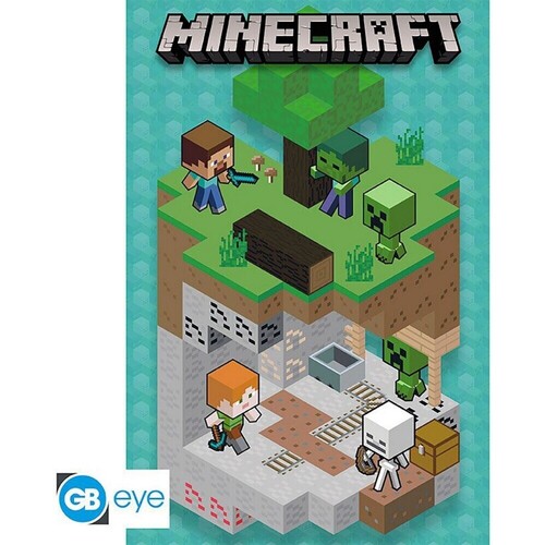 Newlife - Seconde Main Affiches / posters Minecraft TA10616 Multicolore