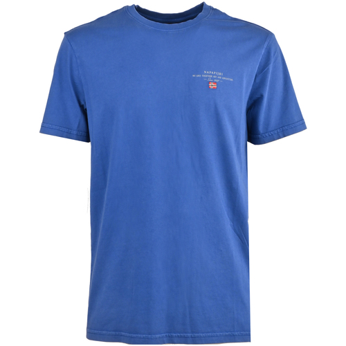 Vêtements Homme T-shirts manches courtes Napapijri np0a4gbq-b5a Bleu