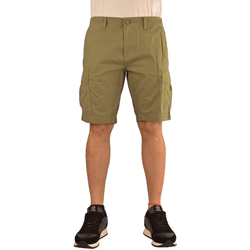 Vêtements Homme Shorts / Bermudas Napapijri np0a4g5g-gae Vert