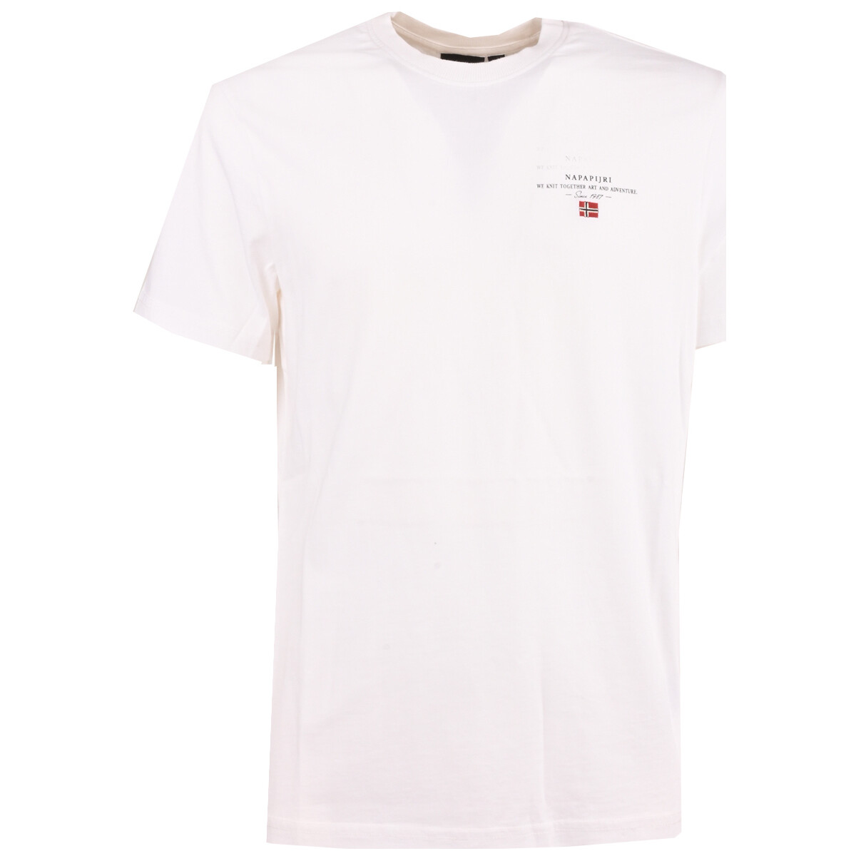 Vêtements Homme T-shirts manches courtes Napapijri np0a4gbq-002 Blanc