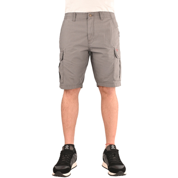 Vêtements Homme Shorts / Bermudas Napapijri np0a4gam-h31 Gris