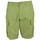 Vêtements Homme Shorts / Bermudas Napapijri np0a4gam-gae Vert