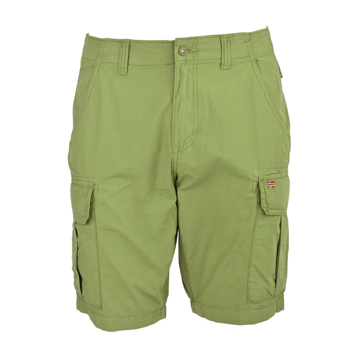 Vêtements Homme Shorts / Bermudas Napapijri np0a4gam-gae Vert