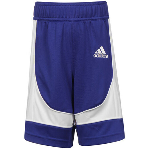 Vêtements Garçon Bodycon Shorts / Bermudas adidas Originals FR9380 Bleu