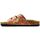 Chaussures Femme Chaussons Calceo CAL3607 multicolorful