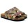 Chaussures Femme Chaussons Calceo CAL3802 multicolorful