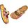 Chaussures Femme Mules Calceo WCAL134 multicolorful