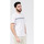 Vêtements Homme T-shirts & Polos BOSS T-shirt col rond avec logos multicolores Blanc