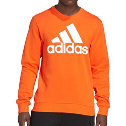 Vêtements Homme Sweats sticks adidas Originals HL2304 Orange