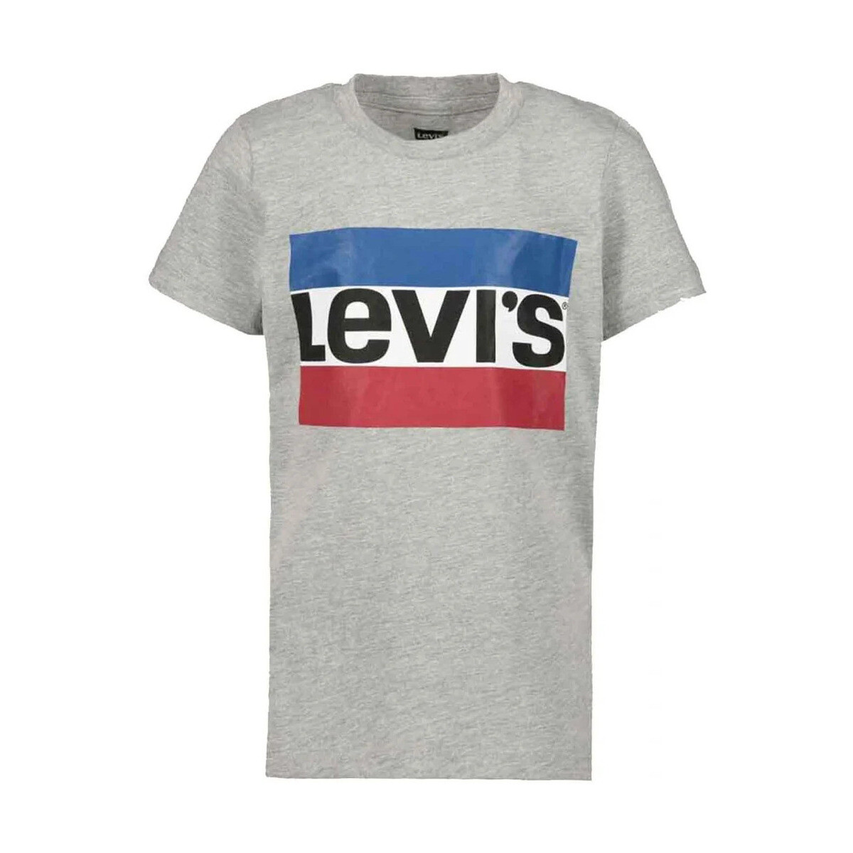 Vêtements Garçon T-shirts manches courtes Levi's 115604VTPER27 Gris