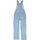 Vêtements Femme Pantalons Dickies DK0A4XYCC151 Bleu