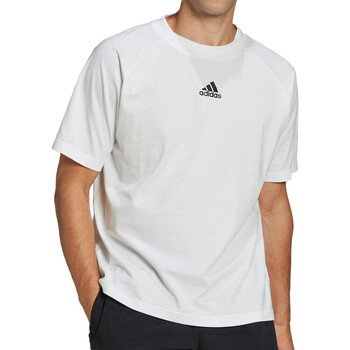 Vêtements Homme T-shirts manches courtes adidas Originals HE4421 Blanc