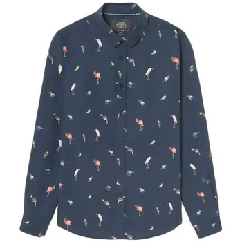 Vêtements Homme T-shirts logo-print Missguideds longues Le Temps des Cerises Birdy a motif oiseaux Bleu