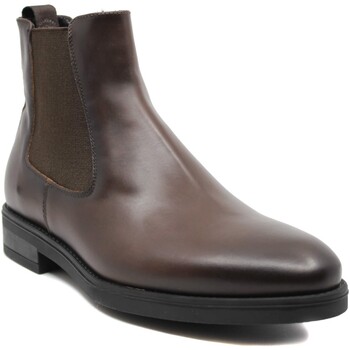 Chaussures Femme Boots Jefferson Giorgio Chelsea Boots Marron