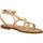Chaussures Femme Sandales et Nu-pieds Caryatis 622109C Marron