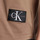 Vêtements Homme T-shirts manches courtes Calvin Klein Jeans Badge Turn Up Gris