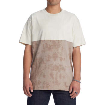 Vêtements Homme T-shirts manches courtes DC Shoes Camisetas  Dead End Lily White Marron