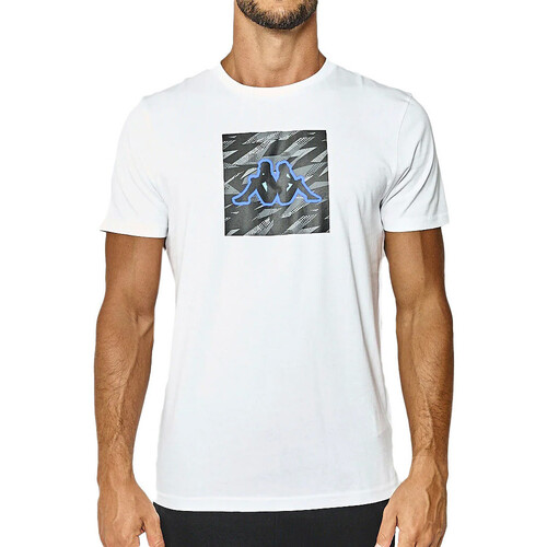 Vêtements Homme T-shirts & Polos Kappa 341C11W Blanc