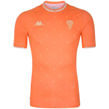 Vêtements Homme T-shirts & Polos Kappa 38181QW Orange