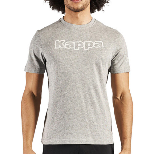 Vêtements Homme T-shirts & Polos Kappa 3119WXW Gris