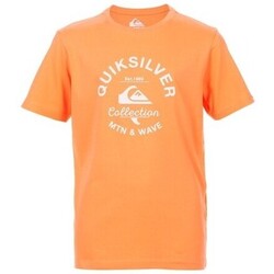Vêtements Garçon T-shirts manches courtes Quiksilver TEE-SHIRT JUNIOR - FRESH SALMON - 14 ans Multicolore