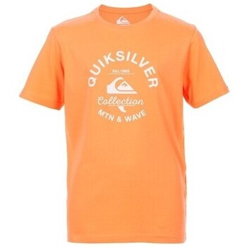 Vêtements Garçon T-shirts manches courtes Quiksilver TEE-SHIRT JUNIOR - FRESH SALMON - 14 ans Multicolore