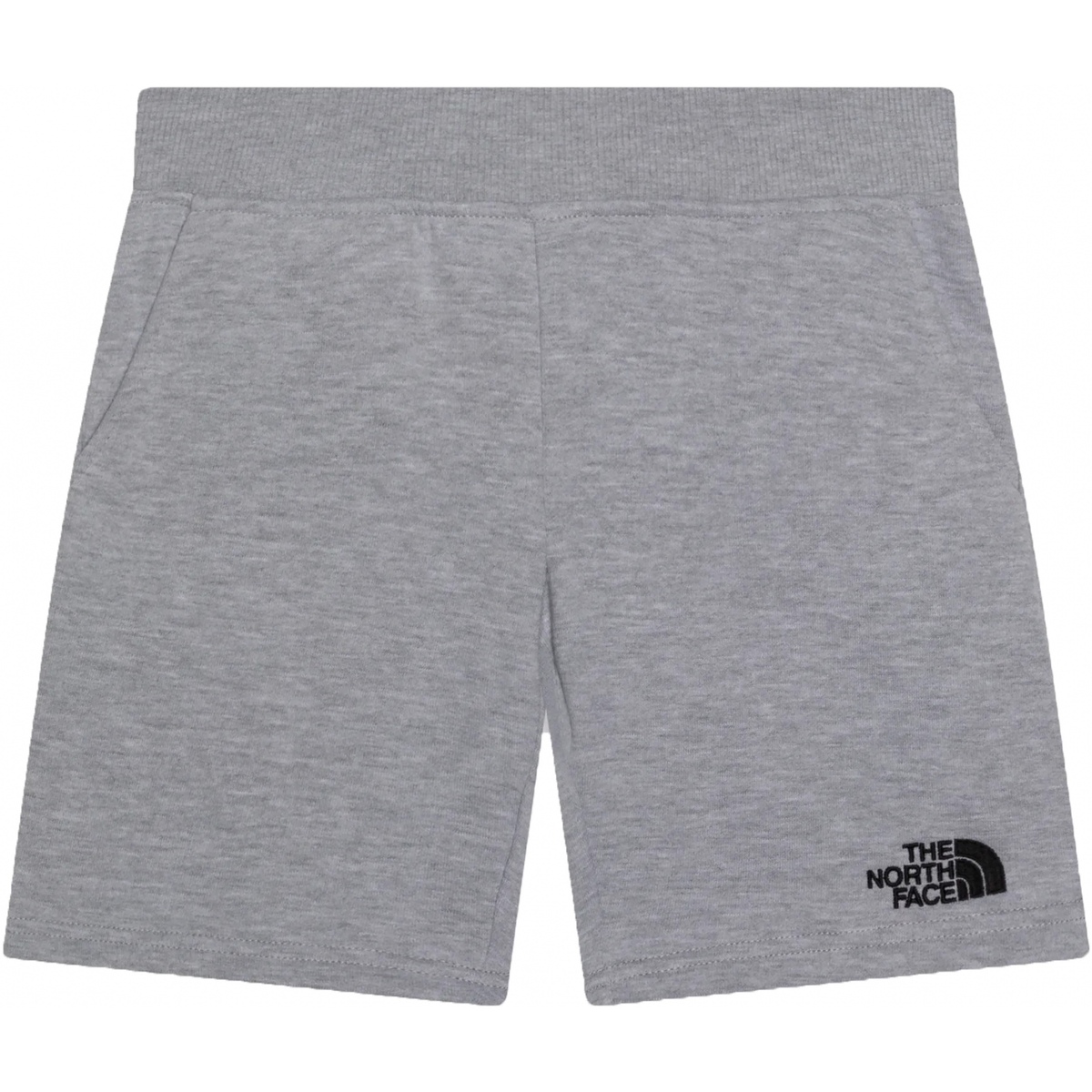 Vêtements Garçon Shorts / Bermudas The North Face Short garçon taille élastique Gris