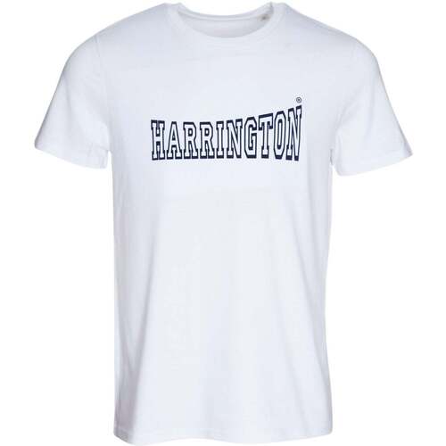 Vêtements Homme T-shirts manches courtes Harrington T-shirt HARRINGTON blanc 