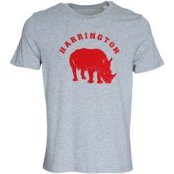 Vêtements Homme T-shirts manches courtes Harrington T-shirt gris 