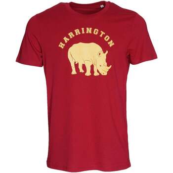 Vêtements Homme T-shirts manches courtes Harrington T-shirt rouge 