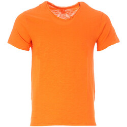 Vêtements Homme T-shirts & Polos American People AS23-102-50 Orange
