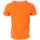 Vêtements Homme T-shirts manches courtes American People AS23-102-50 Orange
