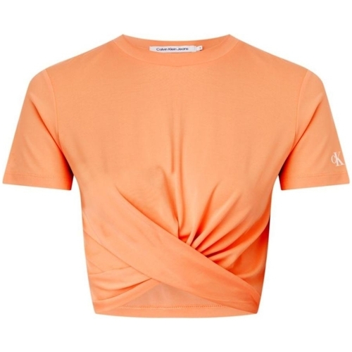 Vêtements Femme T-shirts & Polos Calvin Klein Jeans T shirt  Ref 60256 SDD Orange Orange